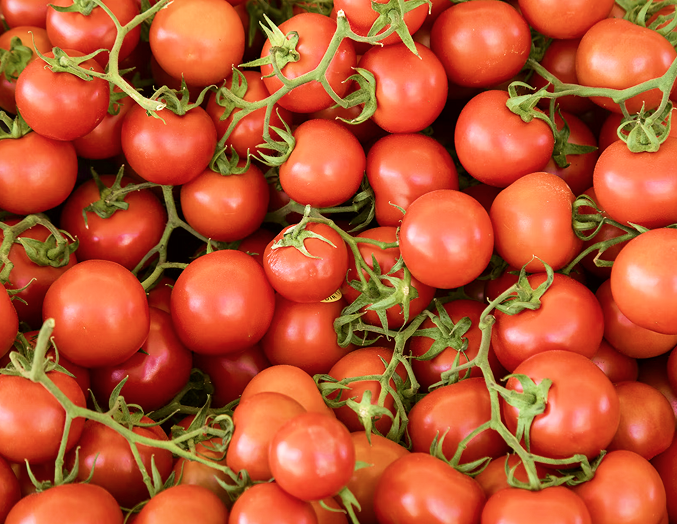 Tomatoes